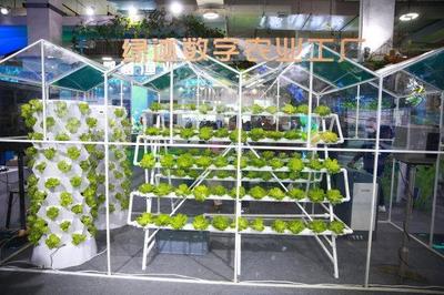 新主體、新技術、新產品 從今年農博會看&ldquo;浙&rdquo;有新能力