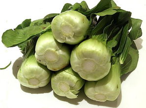 蔬菜 健康 食品圖片高清圖片免費下載 jpg格式 編號15369042 千圖網