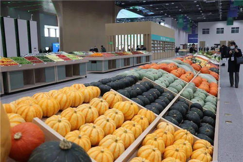 青島農(nóng)業(yè) 國際客廳 開門納客,2022年建成后預(yù)計(jì)可實(shí)現(xiàn)年產(chǎn)值約120億元