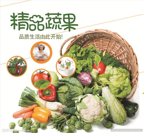 精品蔬菜 新鮮蔬菜 超市海報設計圖 psd分層素材 psd分層素材