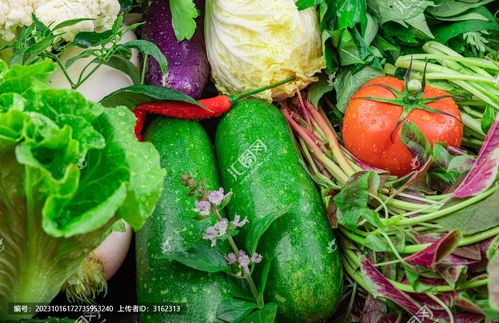 蔬菜之美 中國菜系中的藝術(shù)與餐飲攝影素材